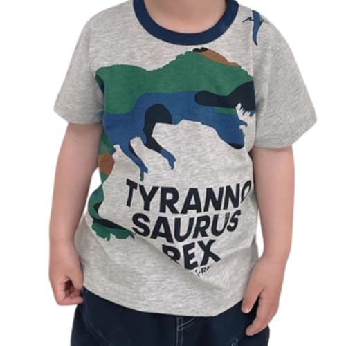 Image of Toddler Boy Clothes Cartoon Cotton Summer Short Sleeve T-Shirt and Shorts Kids Outfit Set 2-7 Year