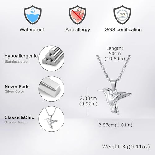 Collier colibri argenté pour homme avec chaîne maille boîte robuste