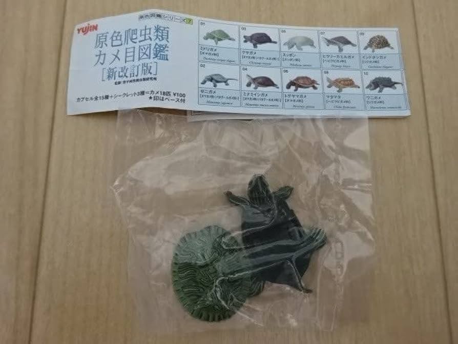 Amazon.co.jp: 原色爬虫類カメ目図鑑 新改訂版 ミドリガメ