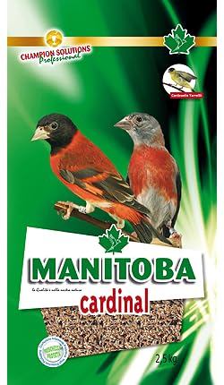 Mélange Manitoba Cardinal aliment complet pour chardonners, idéal pour les climats chauds, dépoussiérés, qualité italienne | 1 lot de 2,5 kilogrammes.
