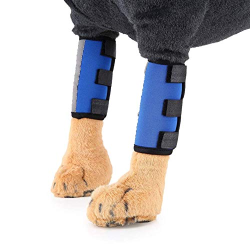 Image of 1 Pair Reflective Tape Elbow Protectors, Dog Front Leg Braces Pet Knee Pads Dog Elbow Protector Help with Injuries Sprains and Loss of Stability Caused by Arthritis(M, Blue)