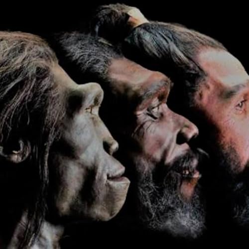 Os maiores equ&iacute;vocos das pessoas sobre a Evolu&ccedil;&atilde;o!