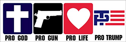Magnetic Pro God - Guns - Life - Trump Magnet (Christian Patriot Conservative GOP)
