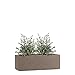 Pflanzwerk® Pflanzkübel TUB Braun 17x50x17cm XXL – Rechteckig – Großer Fiberglas Blumenkübel für Garten & Fensterbank außen und innen - Frostbeständig - UV-Schutz - Markenqualität