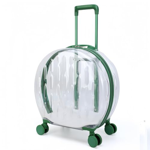 Klivex LX[cP[X LX^[t ybgJ[g bNL[obO ybgpX[cP[X  Lp  L[obO ʋC U s ʉ@ hЗp s Oo y  (O[,XgCv)