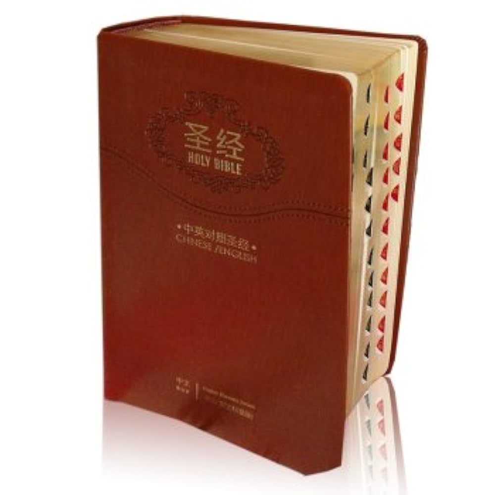 Amazon.co.jp: Holy Bible - English / Chinese - English