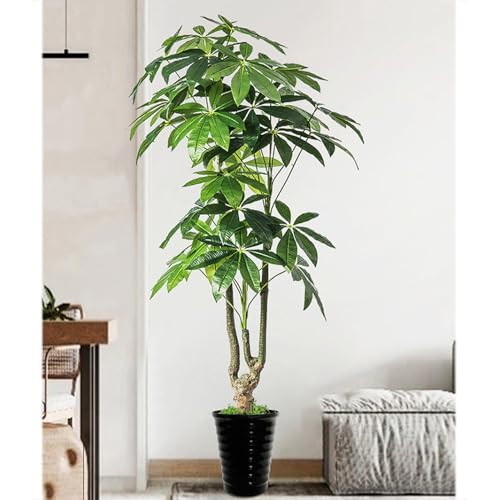 HGJH tFCNO[ lHϗtA 1.7M sv ͂Ȃ QȂ ϗtA J[2 CeA ItBX   tFCNO[ A lHϗtA tFCNO[  X fBXvC Ύ