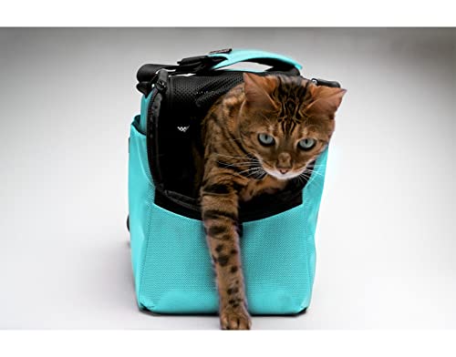 Sleepypod Atom transportín seguro que reduce el estrés de tu mascota 5