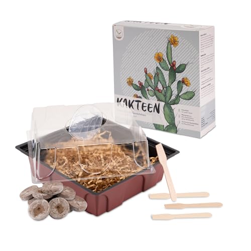 Kakteen Starter Kit Anzuchtset - Pflanzset aus Mini-Gewächshaus, Kaktus Samen & Erde - nachhaltige...