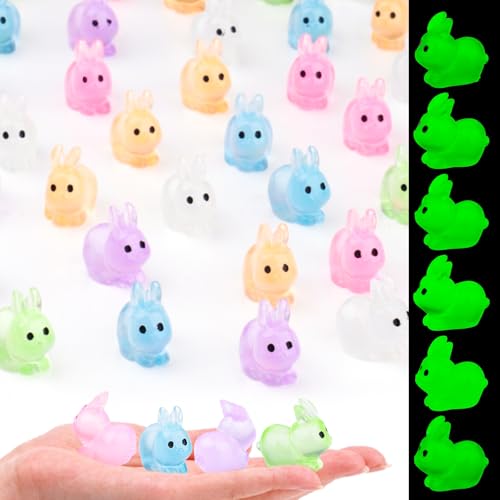 Aoocoeo 50pcs Mini Resin Rabbit Figures Glow in The Dark Colorful Tiny Accessories Decorations for Crafts Dollhouses Fairy Gardens (Rabbit)