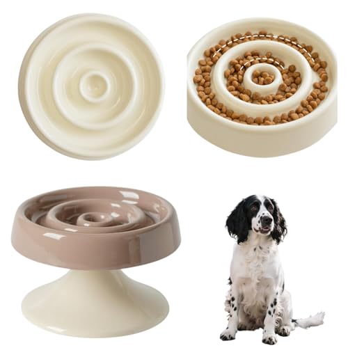 Lifetips CObVXvK[XpjG Lp X[t[h{E ؐ Hh~ ~ HZbg ^ L  􂢂₷ i-̌^^CvJuEj