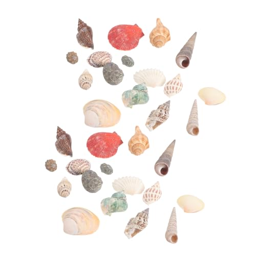 [NUOBESTY] 1 {bNX VRLk Ci ʂȑf GǍD p mL [