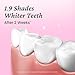 EUTHYMOL Whitening Toothpaste (3.7fl oz*3, Pack of 3) - Stain Removal in 2 Weeks, Long-Lasting Freshness for Sensitive Gum & Teeth. Bad Breath, Cavity Prevention. Recyclable Aluminum Tube