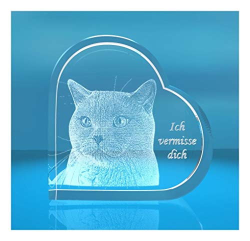 VIP-LASER I 3D Glasfoto I Kristall Herz L I Gravur Wunschfoto mit Wunschtext - Personen/Tiere in 3D: 1 Person Cover