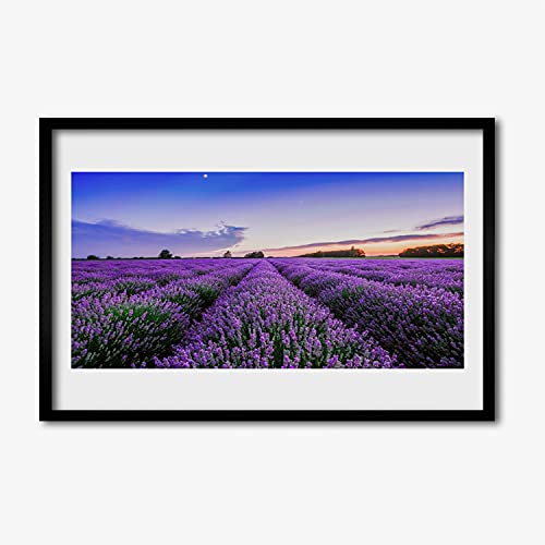 Image murale salon et cadre en mdf de fleurs de pré avec affiche encadrée 60x40 cm