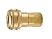 Parker B37G Coupler Body, Brass, 3/4 in. Pipe, 110 CFM