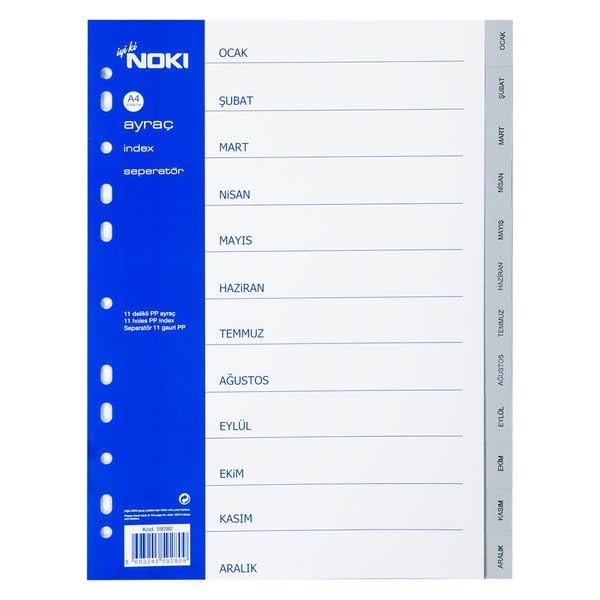 Noki 59280 - Divisore per gennaio, formato A4