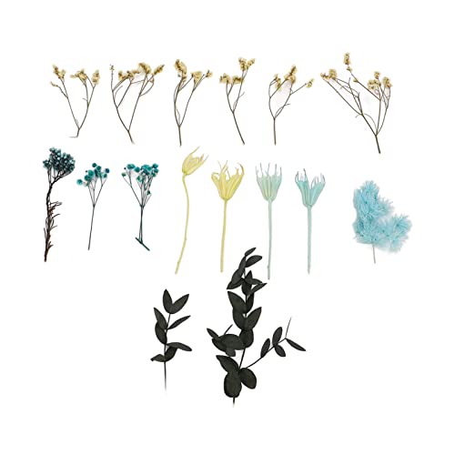 Flores secas naturales para decoración de mesa miniatura 7