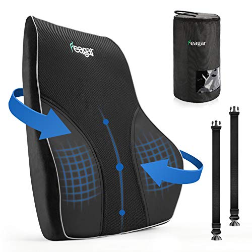 Feagar Lendenkussen, traagschuim rugkussen met ademende mesh-bekleding, draagbaar rugleuningkussen voor autostoelen, rolstoel, zwart