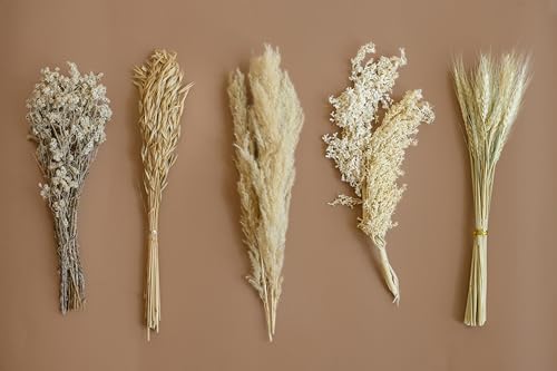 Image of 100 pcs Luxe Ivory Dried Flower Combo Set | Dried Grasses- Pampas, Avena Grass, Gypsy, Wheat & Natural Botanicals | Elegant Neutral Dcor for Vase & Home Styling