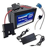 Xunyunda 12V 15Ah Lithium LiFePO4 Lithium Battery, 2000+ Deep Cycle with BMS for Solar, Power Wheels, Fish Finder, Camping, Marine, Off-Grid Use