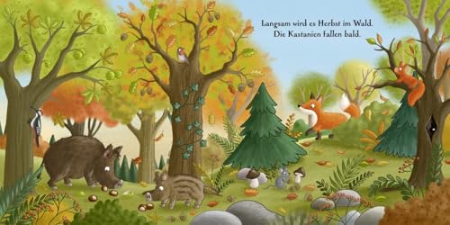 Es wird Herbst hier im Wald: Allererstes Wissen über die Jahreszeiten für Kinder ab 18 Monaten