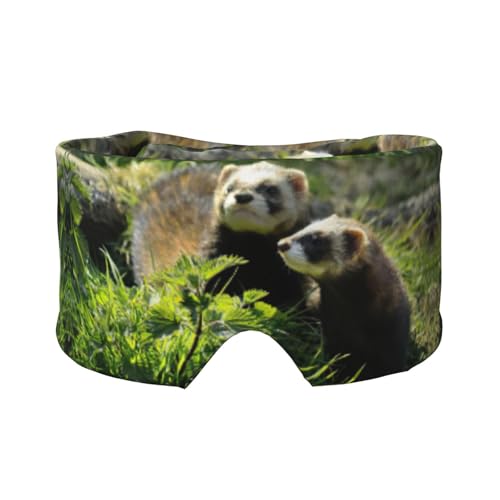 ChCt tFbgvg X[v}XN jp \tgACJo[ h  C[}t wbhoh s Q