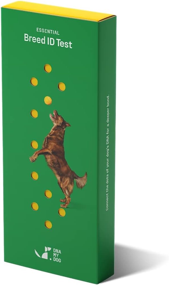 DNA My Dog Trusted & Affordable Breed Identification Test | 350+ Breeds Identified with 99%+ Accuracy | Complete Breed Analysis, Personality and Behavior Insights | Easy Cheek Swab, Results in 2 Weeks