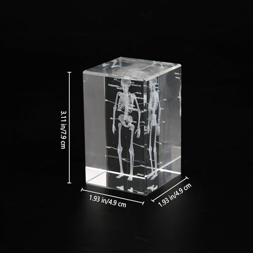 Image of 3D Human Skeleton Crystal Model Skeletal Anatomical Model for Home and Office Decoration, Unique Gift for Doctors and Students