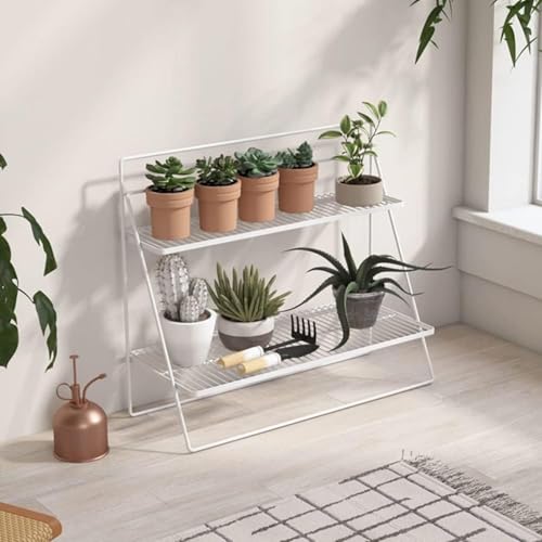 AJJg[ ACAt[bN u it[bN oRj[ rO 2i 3i I ͂ t[|bgv^[ ACAACr[bN K[fbN O hK ^t[bN  t@bV hKt[bN