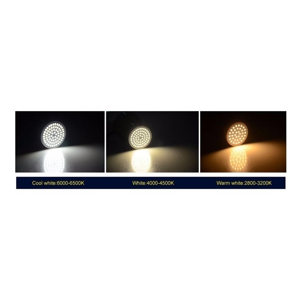 RZL Lighting, Paquete de 20, lámpara de luz LED AC220V E27/E14/MR16/GU10 2835SMD Bombilla LED lámpara de Foco LED(Cold White E27,2835 80LED)