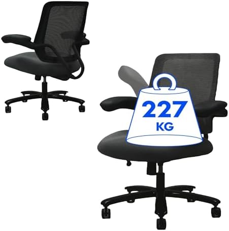 FLEXISPOT Big MAX Silla de Oficina Ergonómica Peso 227 kg Silla d...