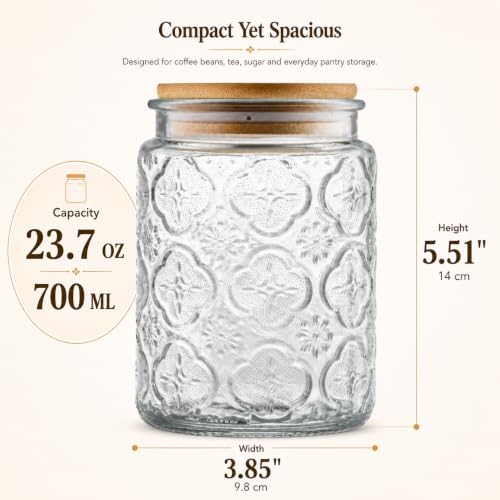 Image of ANSQU Glass Jar with Lid, 23.7 oz Decorative Mason Jar, Coffee Canister | Glass Storage Container with Lid, Airtight Kitchen Canister for Coffee, Tea, Sugar, Candy, Cute Jar