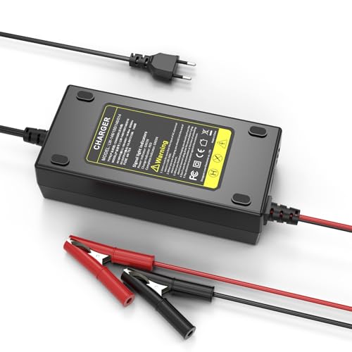 ASUNCELL 14,6V/10A LiFePO4 Cargador de batería de coche, cargador de batería para coche de 6V y 12V plomo hasta 120Ah y 12,8V litio, baterías de litio-hierro-fosfato