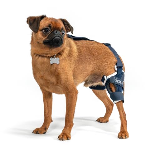 Image of Balto Jump Dog Knee Brace - Orthopedic ACL /CCL Support for Dogs - Adjustable Leg Stabilizer for Joint Pain, Injury Recovery & Arthritis - Vet-Approved Canine Knee Support (X-Small, Right Leg)