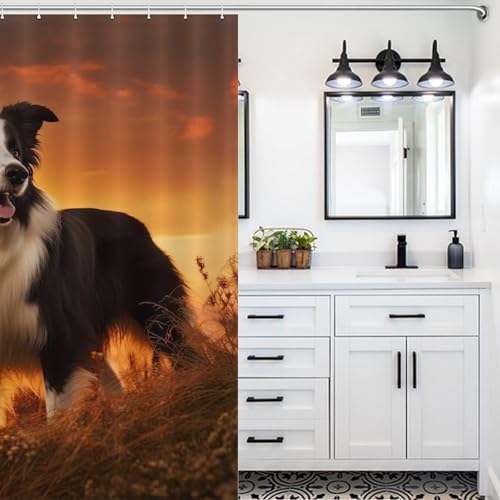 Rideau de douche chien imperméable fini les inondations de salle de bain