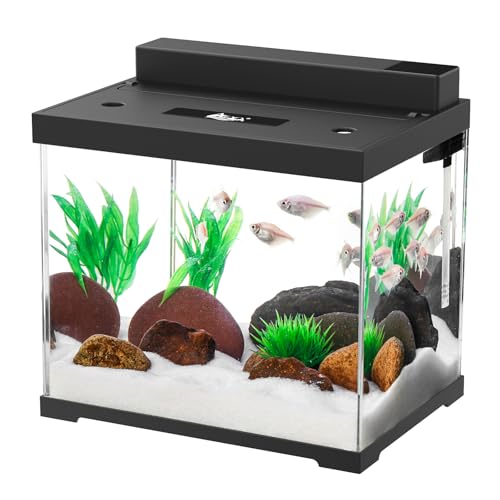 AQQA 9L Glass Fish Tank with Filter and LED Lighting