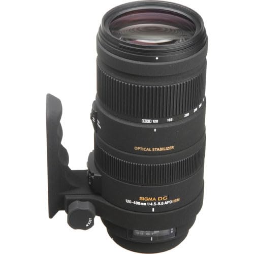 Amazon.com : Sigma 120-400 F 4-5.6 DG APO OS HSM Lens for Nikon