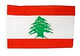 Flaggenfritze Fahne Flagge Libanon 30 x 45 cm Rot