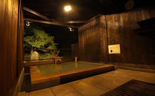 日景温泉1泊2食付きペア宿泊券