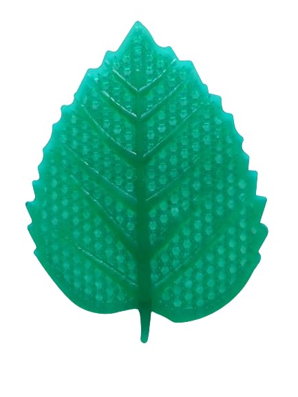 Mitrin Leaf-shaped Urinal Screen Anti-Splash Toilet Mat Bathroom Deodorizer Spatter-Reducing Breeze Fragrance Refresher Mats with Green Apple Freshener Ideal for restrooms and offices (pack of 5) (B0CXY1TPTM) Amazon Price History, Amazon Price Tracker