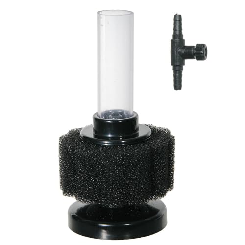 ANAVXe vWFNgtB^[ ar  ז