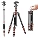 K&F Concept 152cm Carbon Stativ, Leichtes Tripod, Flexibles Kamera Stativ mit 360° Kugelkopf, 1/4’’ Gewinde, Tragtasche für DSLR Camera A225C0+BH-25L