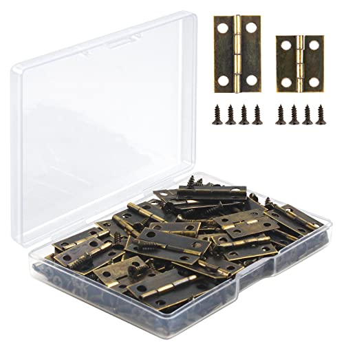 CVIUYO Cerniere Piccole, Confezione da 60