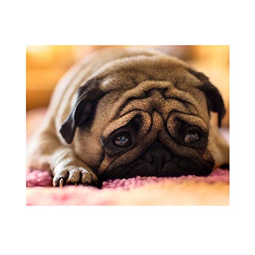 TianMai Caliente Nueva DIY 5D Kit de Pintura Diamante Cristales Bordado de Diamantes Pintura Pintura Pegada Por Número Kits Stitch Craft Kit Decoración Etiqueta de La Pared Cover