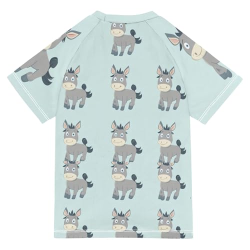 Boys Short Sleeve T-Shirts Donkey Horse Blue Rashguard Kids Swim Shirts Sun UPF 50+2