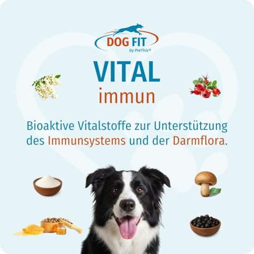 DOG FIT by PreThis® VITAL immun für Hunde I Mit Colostrum, Agaricus Blazei Murrill, Hagebuttenextrakt, Shilajit, Propolis I Ohne künstliche Zusätze I medium 10-25kg