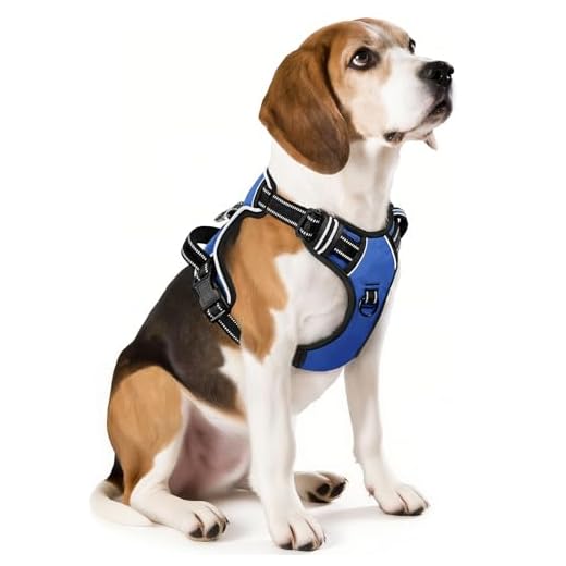 Suredoo Hundegeschirr Kleine Hunde mit Leine, Anti Zug Geschirr Reflektierend Atmungsaktiv Brustgeschirr, Welpengeschirr für Kleine, Mittlere Hunde (M, Blau Kariert) 4 HEELE Hundegeschirr, No-Pull Hundegeschirr, Brustgeschirr für Mittelgroße Hunde, Weich Atmungsaktiv Einstellbar Reflektierend Hundegeschirr Anti Zug mit Gepolstert Griff, Blau, M