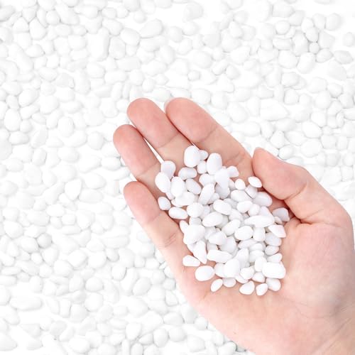 Meschett JtKXXg[A1|htBbV^NOxAȃCM[C{[ٍAّƃJ^NpAV[OXr[YNX^AtBbV{EAԕrtB[AzCg