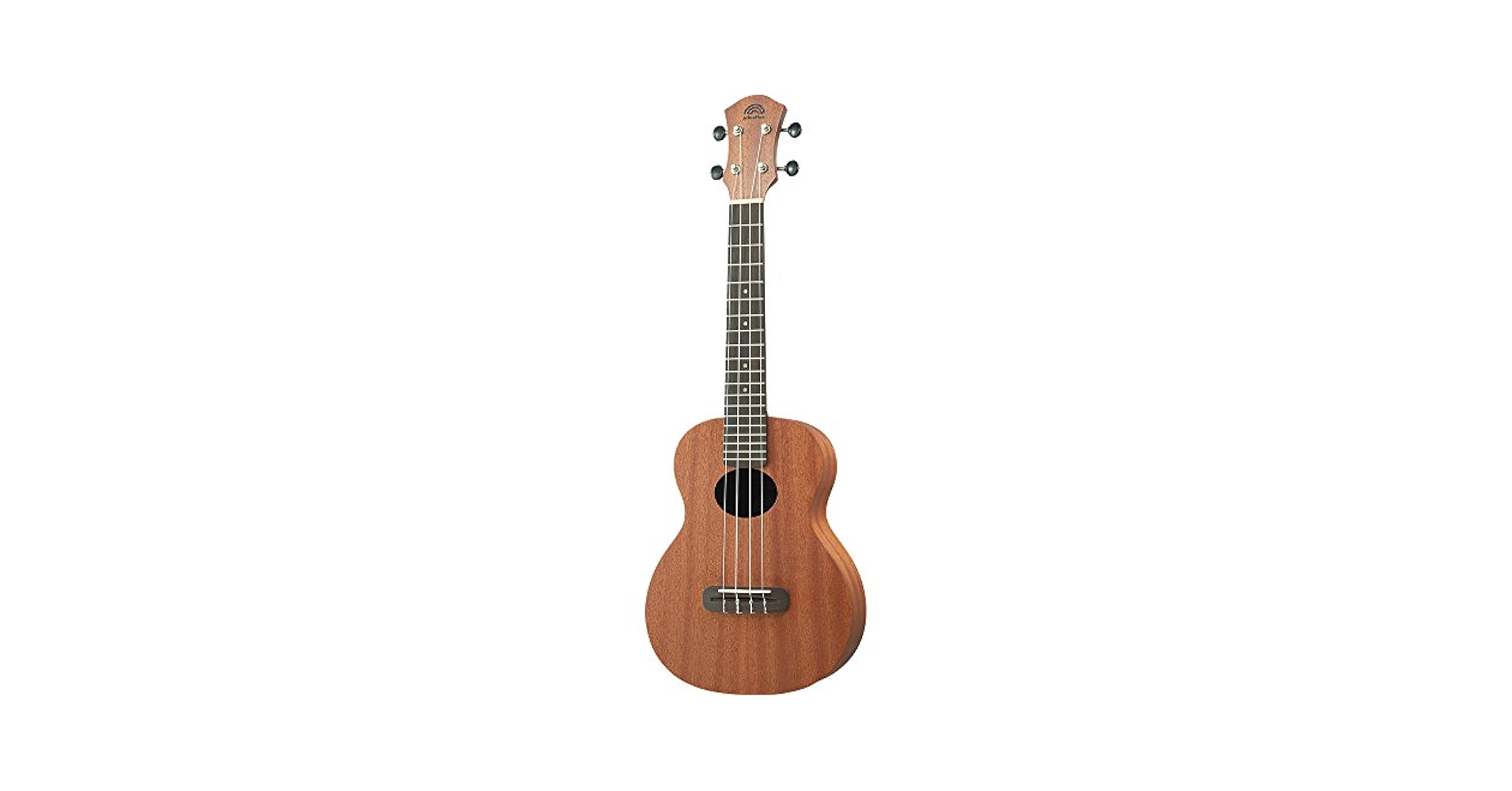 ANUENUE MINIC MAHOGANY ウクレレ Anuenue Ann – MCM Mini Mahogany Mist Double Concert Ukulele